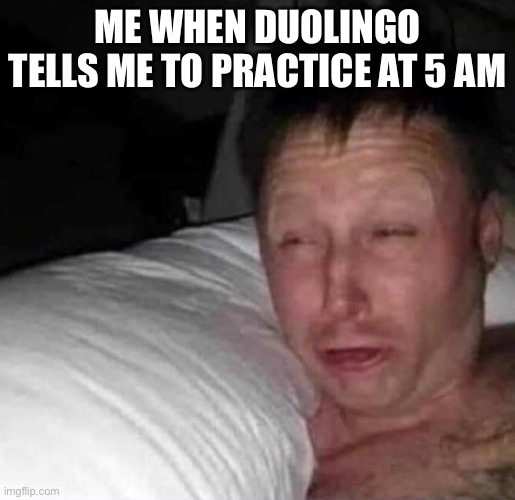 Sleepy guy | ME WHEN DUOLINGO TELLS ME TO PRACTICE AT 5 AM | image tagged in sleepy guy,duolingo | made w/ Imgflip meme maker