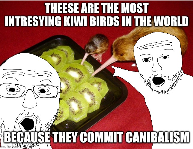 Kiwi Cannibalism | THEESE ARE THE MOST INTRESYING KIWI BIRDS IN THE WORLD; BECAUSE THEY COMMIT CANIBALISM | image tagged in kiwi cannibalism | made w/ Imgflip meme maker