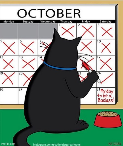 The Countdown | image tagged in memes,comics/cartoons,black cat,halloween,countdown,we got us a badass over here | made w/ Imgflip meme maker