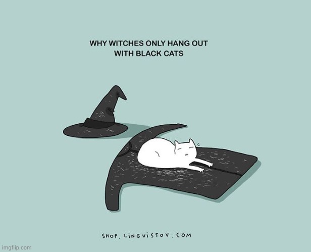 image tagged in memes,comics/cartoons,why,witches,hanging out,black cat | made w/ Imgflip meme maker