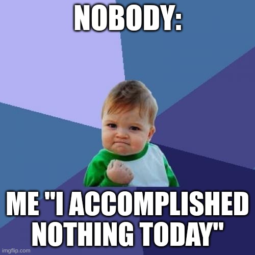 Just SigmA | NOBODY:; ME "I ACCOMPLISHED NOTHING TODAY" | image tagged in memes,success kid | made w/ Imgflip meme maker