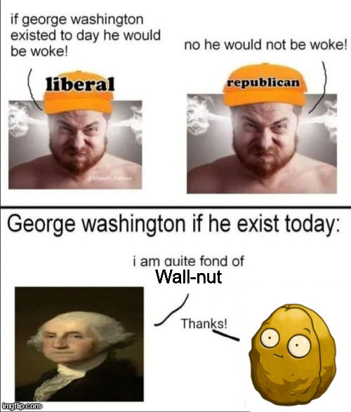 George Washington if he existed today | Wall-nut | image tagged in george washington if he existed today | made w/ Imgflip meme maker