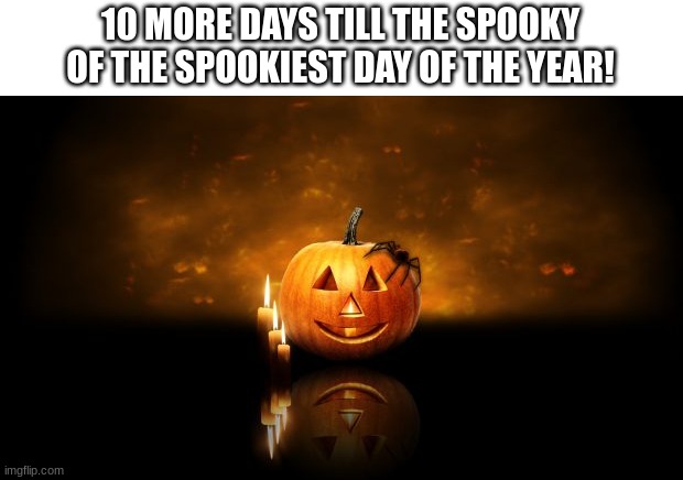 cnady | 10 MORE DAYS TILL THE SPOOKY OF THE SPOOKIEST DAY OF THE YEAR! | image tagged in halloween pumkin | made w/ Imgflip meme maker