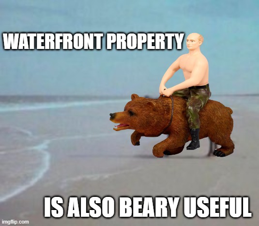 Horse on Beach Man | WATERFRONT PROPERTY IS ALSO BEARY USEFUL | image tagged in horse on beach man | made w/ Imgflip meme maker