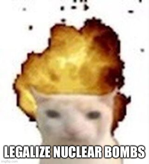 legalize nuclear bombs | LEGALIZE NUCLEAR BOMBS | image tagged in legalize nuclear bombs | made w/ Imgflip meme maker