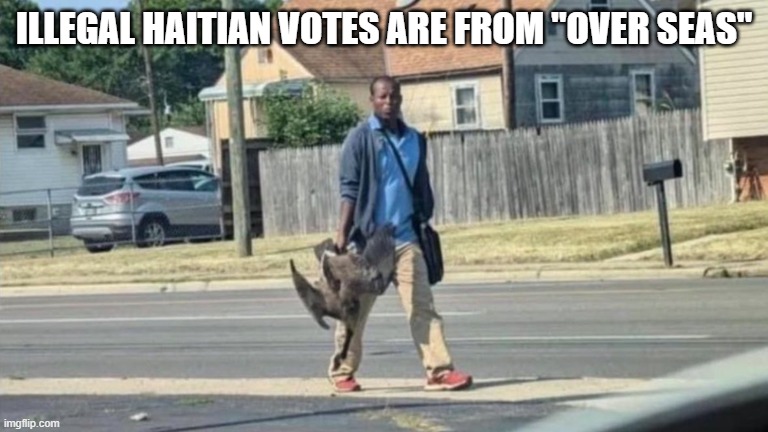 Haitian Man With Goose | ILLEGAL HAITIAN VOTES ARE FROM "OVER SEAS" | image tagged in haitian man with goose | made w/ Imgflip meme maker