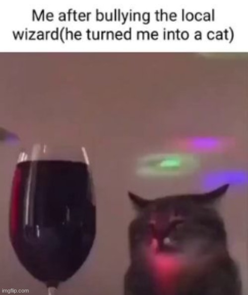 *Angry swearing in meow* | image tagged in cat,evil wizard,memes,funny | made w/ Imgflip meme maker