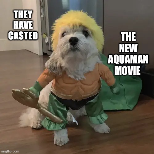 THEY HAVE CASTED THE NEW AQUAMAN MOVIE | made w/ Imgflip meme maker