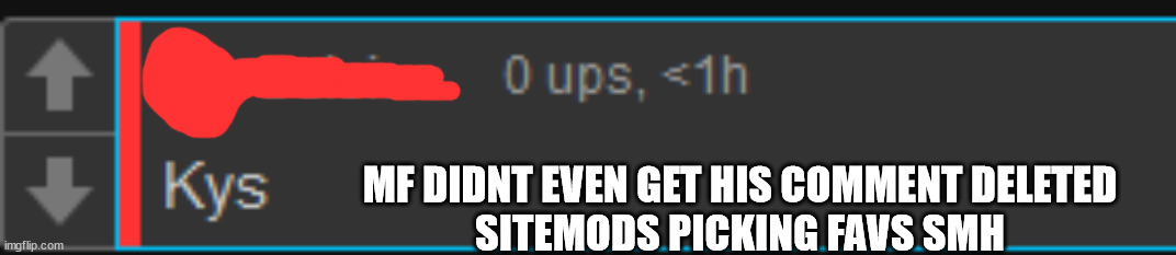 MF DIDNT EVEN GET HIS COMMENT DELETED
SITEMODS PICKING FAVS SMH | made w/ Imgflip meme maker