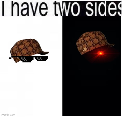 2016 humor | image tagged in i have two sides | made w/ Imgflip meme maker