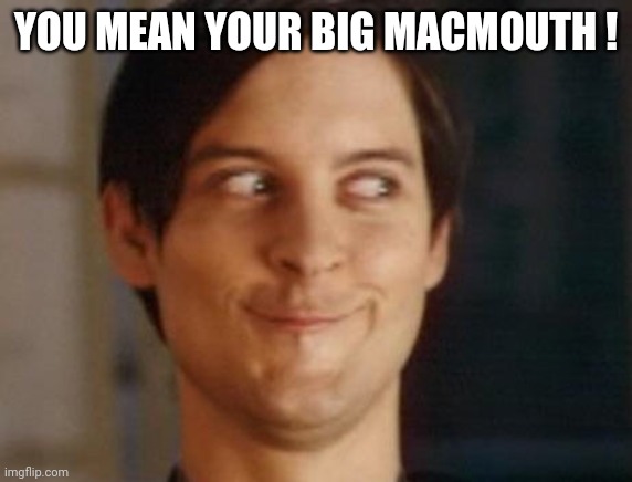 Spiderman Peter Parker Meme | YOU MEAN YOUR BIG MACMOUTH ! | image tagged in memes,spiderman peter parker | made w/ Imgflip meme maker