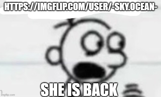 ㅤ | HTTPS://IMGFLIP.COM/USER/-SKY.OCEAN-; SHE IS BACK | made w/ Imgflip meme maker
