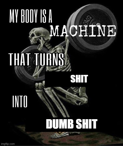 me fr | SHIT; DUMB SHIT | image tagged in my body is machine | made w/ Imgflip meme maker