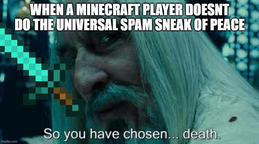 Minecraft | WHEN A MINECRAFT PLAYER DOESNT DO THE UNIVERSAL SPAM SNEAK OF PEACE | image tagged in so you have chosen death,memes,funny,funny memes,minecraft | made w/ Imgflip meme maker