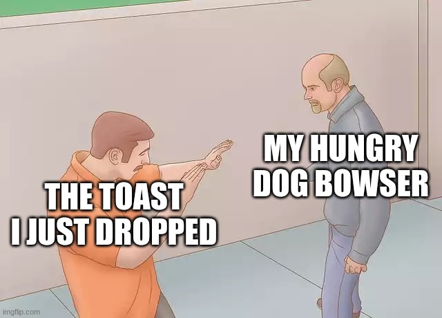 Man about to stab another with a knife | THE TOAST I JUST DROPPED MY HUNGRY DOG BOWSER | image tagged in man about to stab another with a knife | made w/ Imgflip meme maker