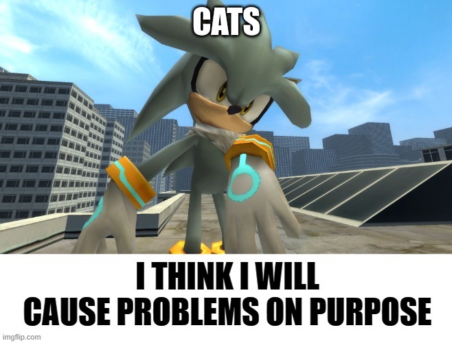 I think I will cause problems on purpose | CATS | image tagged in i think i will cause problems on purpose,cats | made w/ Imgflip meme maker