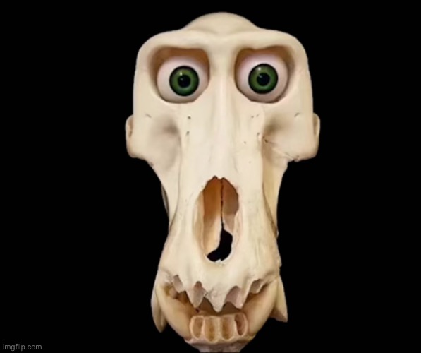 The fog is coming | made w/ Imgflip meme maker