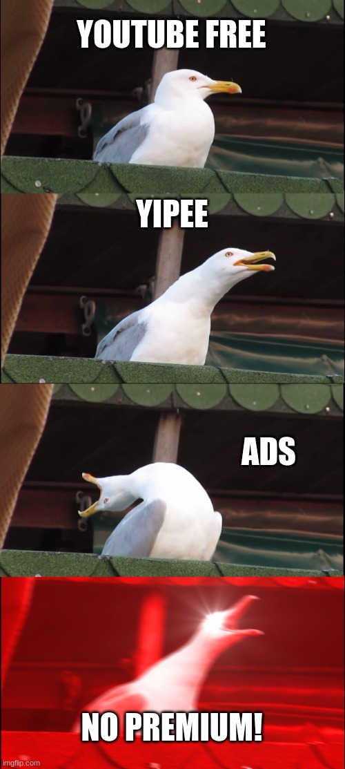 Inhaling Seagull | YOUTUBE FREE; YIPEE; ADS; NO PREMIUM! | image tagged in memes,inhaling seagull | made w/ Imgflip meme maker