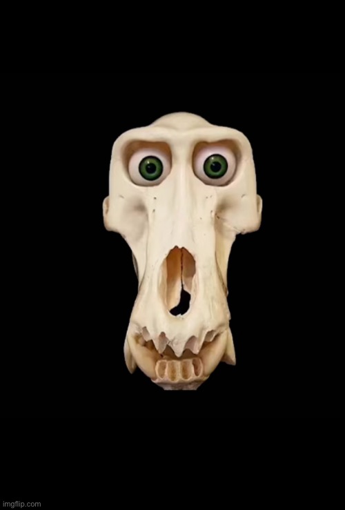 The | made w/ Imgflip meme maker