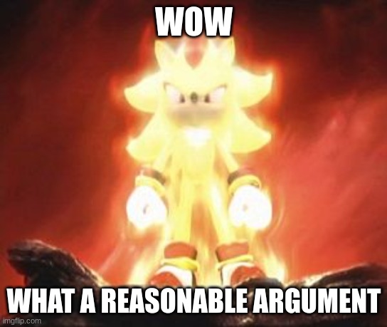 Super Shadow | WOW WHAT A REASONABLE ARGUMENT | image tagged in super shadow | made w/ Imgflip meme maker