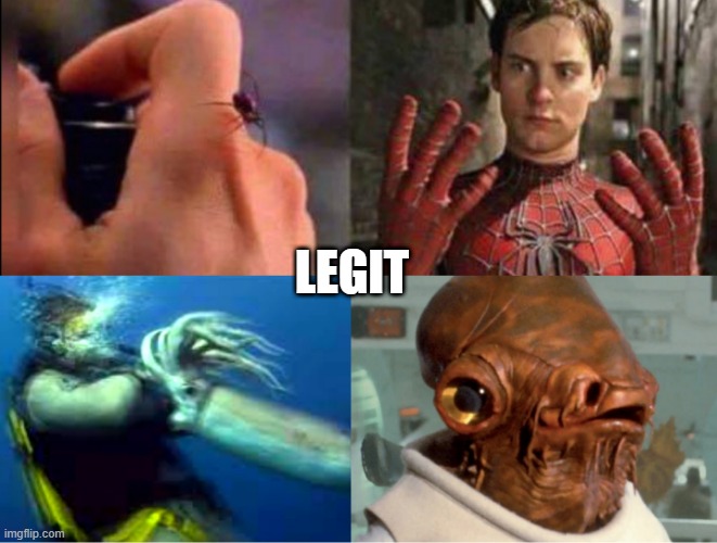 It's a Trap!!! | LEGIT | image tagged in admiral akbar | made w/ Imgflip meme maker