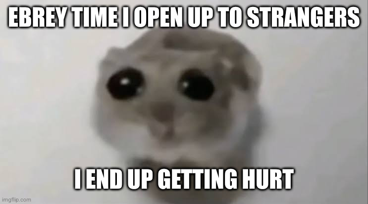 Sad Hamster | EBREY TIME I OPEN UP TO STRANGERS I END UP GETTING HURT | image tagged in sad hamster | made w/ Imgflip meme maker