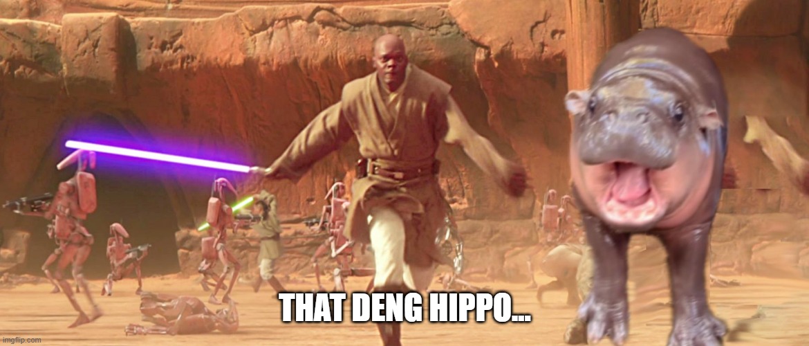 Mo Deng Attack | THAT DENG HIPPO... | image tagged in mace windu | made w/ Imgflip meme maker