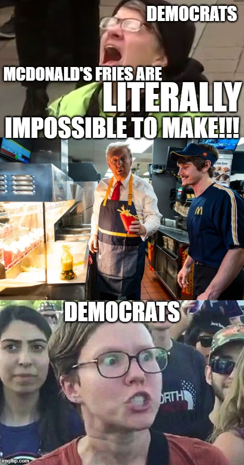 DEMOCRATS; LITERALLY; MCDONALD'S FRIES ARE; IMPOSSIBLE TO MAKE!!! DEMOCRATS | image tagged in screaming liberal,triggered liberal | made w/ Imgflip meme maker