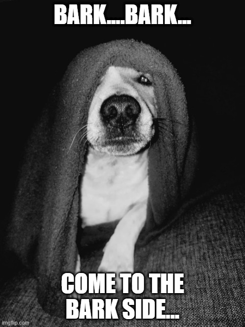 Palpadog | BARK....BARK... COME TO THE BARK SIDE... | image tagged in star wars,emperor palpatine | made w/ Imgflip meme maker