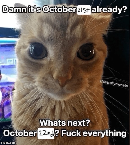 bit late but | made w/ Imgflip meme maker