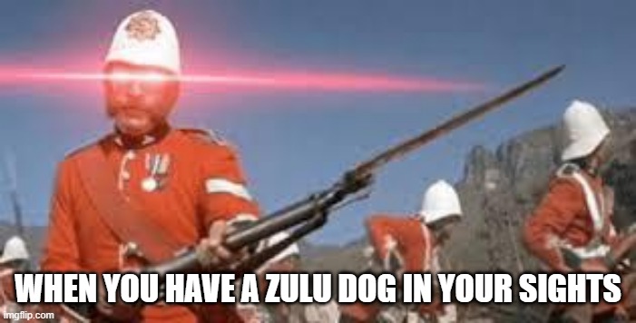 Zulu Wars | WHEN YOU HAVE A ZULU DOG IN YOUR SIGHTS | image tagged in history memes | made w/ Imgflip meme maker