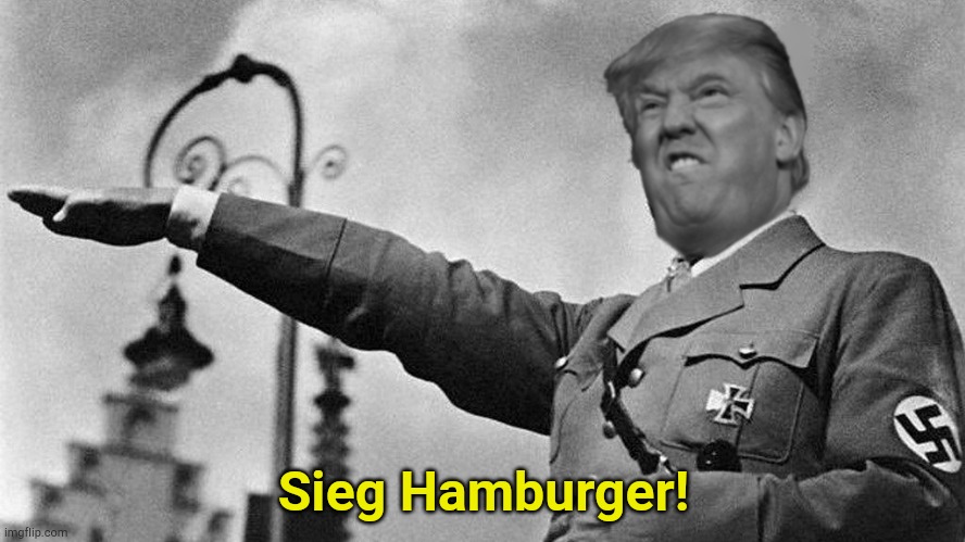 We oughtta boycott McD for that. | Sieg Hamburger! | image tagged in donald trump hitler | made w/ Imgflip meme maker