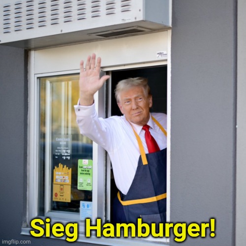 This stunt could backfire | Sieg Hamburger! | image tagged in trump mcdonald's drive-thru | made w/ Imgflip meme maker