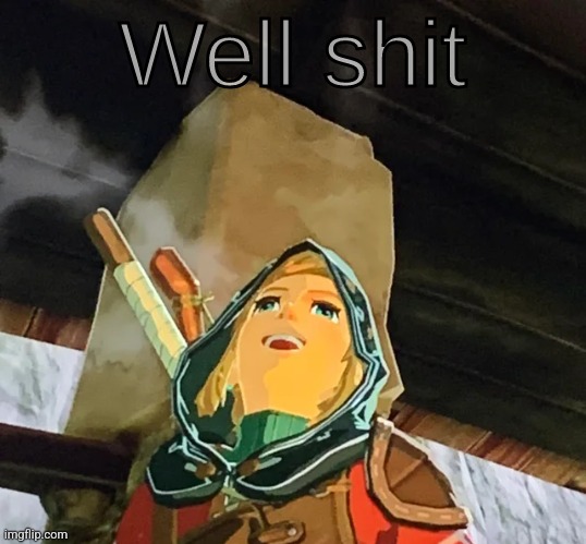 Link well sHiT | image tagged in link well shit | made w/ Imgflip meme maker