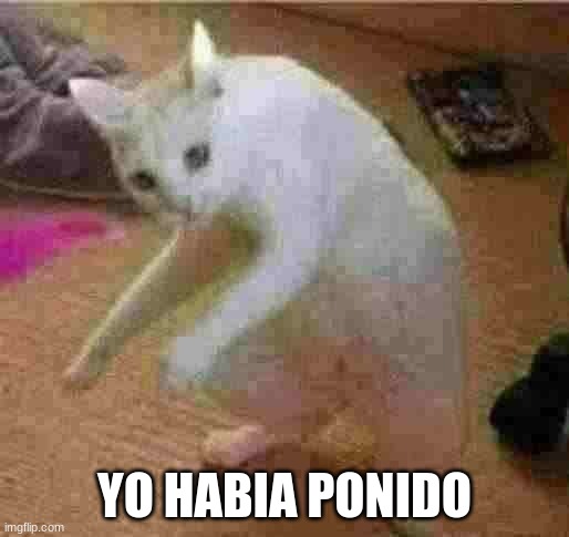 yo habia ponido | YO HABIA PONIDO | image tagged in yo habia ponido | made w/ Imgflip meme maker