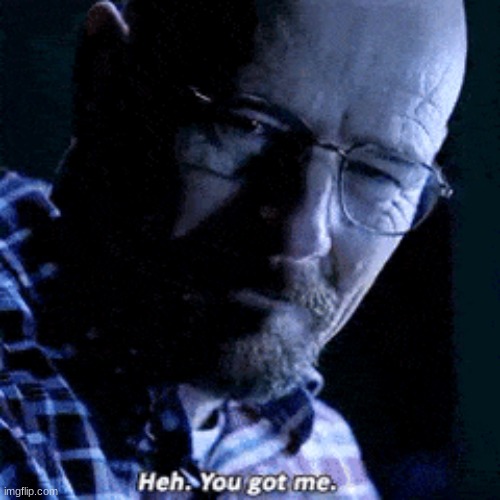 walter white "you got me" | image tagged in walter white you got me | made w/ Imgflip meme maker