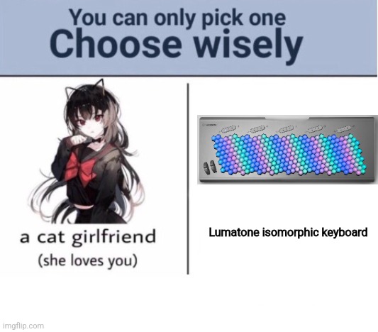 Choose wisely | Lumatone isomorphic keyboard | image tagged in choose wisely | made w/ Imgflip meme maker