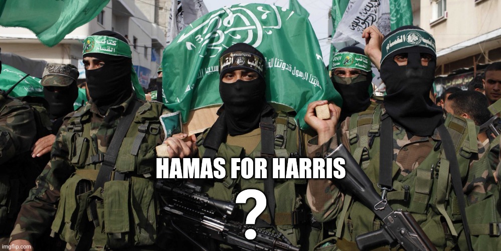 Hamas | HAMAS FOR HARRIS ? | image tagged in hamas | made w/ Imgflip meme maker