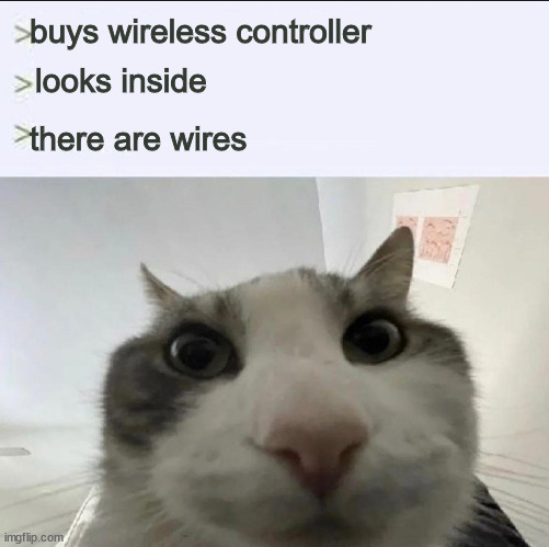 Cat looks inside | buys wireless controller looks inside there are wires | image tagged in cat looks inside | made w/ Imgflip meme maker