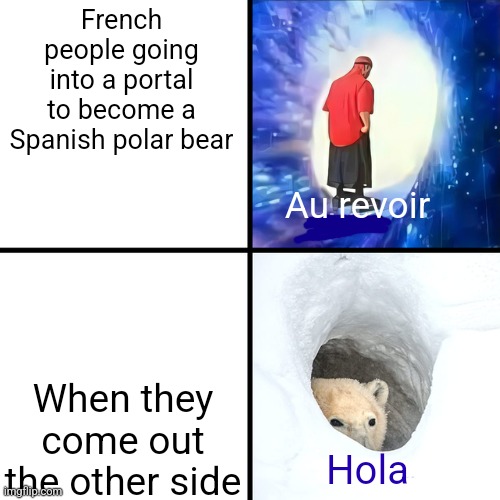 Adios Bonjour | French people going into a portal to become a Spanish polar bear When they come out the other side Au revoir Hola | image tagged in adios bonjour | made w/ Imgflip meme maker