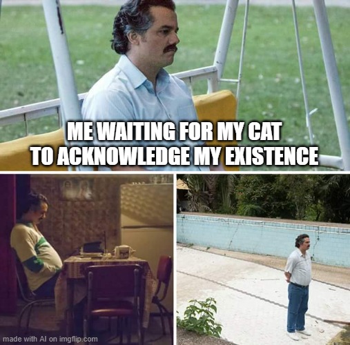 Sad Pablo Escobar | ME WAITING FOR MY CAT TO ACKNOWLEDGE MY EXISTENCE | image tagged in memes,sad pablo escobar | made w/ Imgflip meme maker