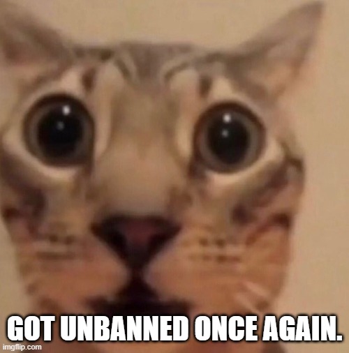 This time I didn't even ask because I didn't know I was re-banned in the first place | GOT UNBANNED ONCE AGAIN. | image tagged in flabbergasted cat | made w/ Imgflip meme maker