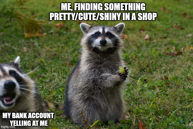 ME, FINDING SOMETHING
PRETTY/CUTE/SHINY IN A SHOP; MY BANK ACCOUNT 
YELLING AT ME | made w/ Imgflip meme maker