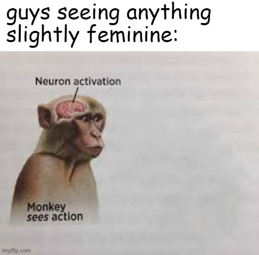 Neuron activation | guys seeing anything slightly feminine: | image tagged in neuron activation | made w/ Imgflip meme maker