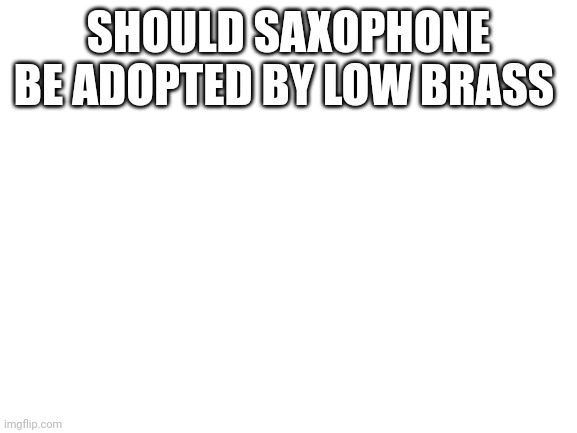 Blank White Template | SHOULD SAXOPHONE BE ADOPTED BY LOW BRASS | image tagged in blank white template | made w/ Imgflip meme maker