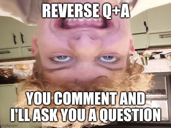 Reverse q+a | REVERSE Q+A; YOU COMMENT AND I'LL ASK YOU A QUESTION | image tagged in tag | made w/ Imgflip meme maker