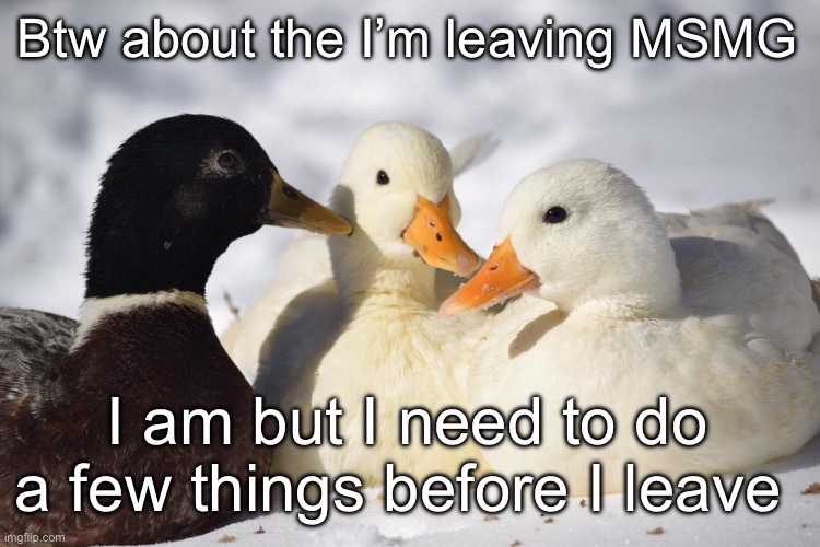 Dunkin Ducks | Btw about the I’m leaving MSMG; I am but I need to do a few things before I leave | image tagged in dunkin ducks | made w/ Imgflip meme maker