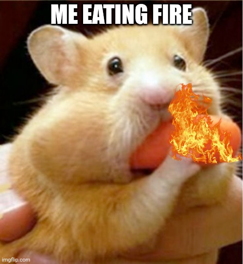 Hamster eats carrot mouthful | ME EATING FIRE | image tagged in hamster eats carrot mouthful | made w/ Imgflip meme maker