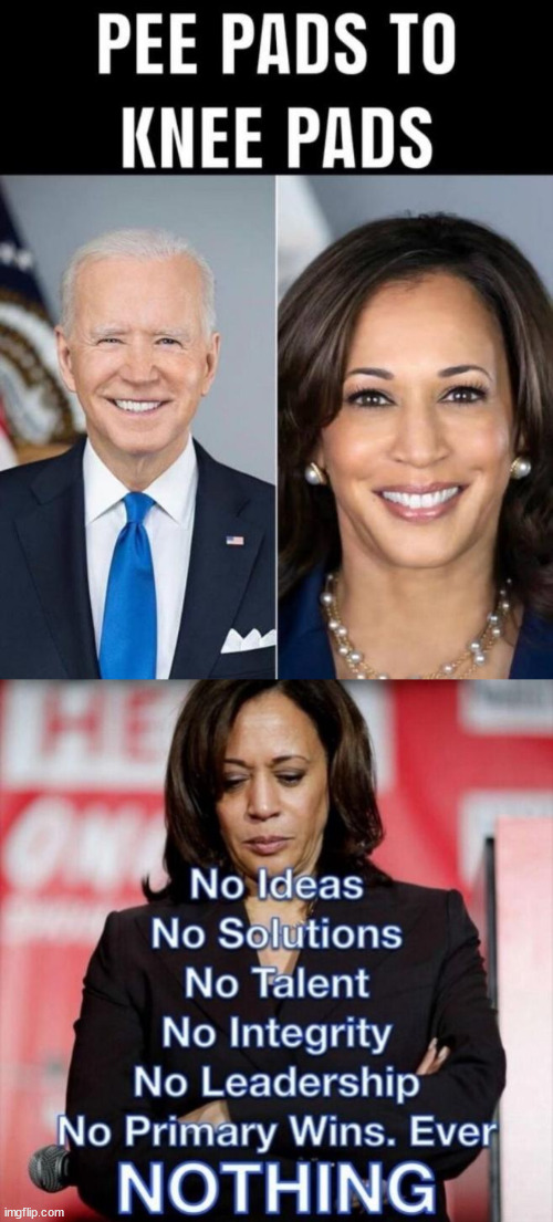 The DNC picked her... because she is a nothing that can be controlled. | image tagged in kamala harris,dnc,puppet | made w/ Imgflip meme maker