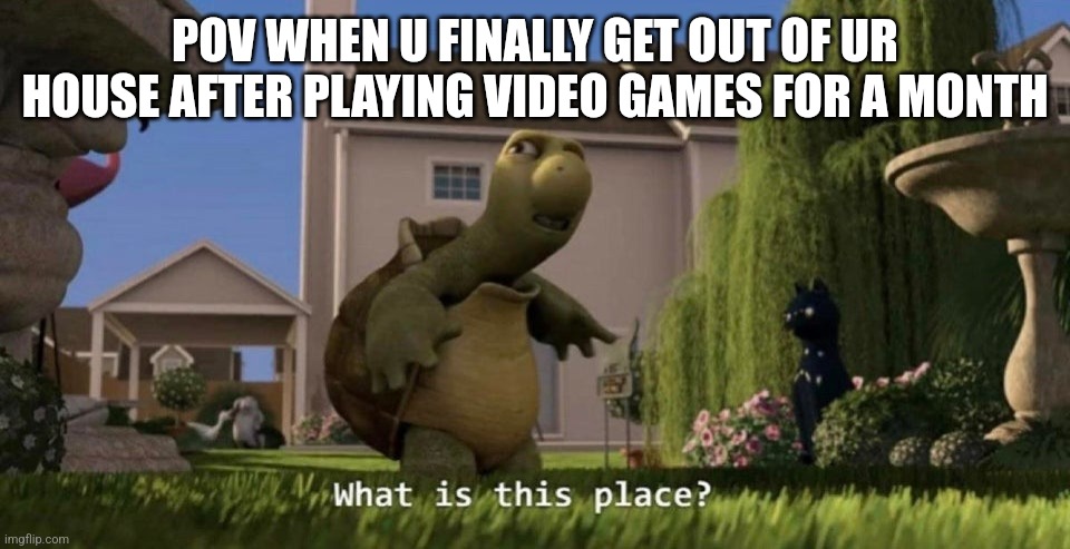 What is this place | POV WHEN U FINALLY GET OUT OF UR HOUSE AFTER PLAYING VIDEO GAMES FOR A MONTH | image tagged in what is this place | made w/ Imgflip meme maker